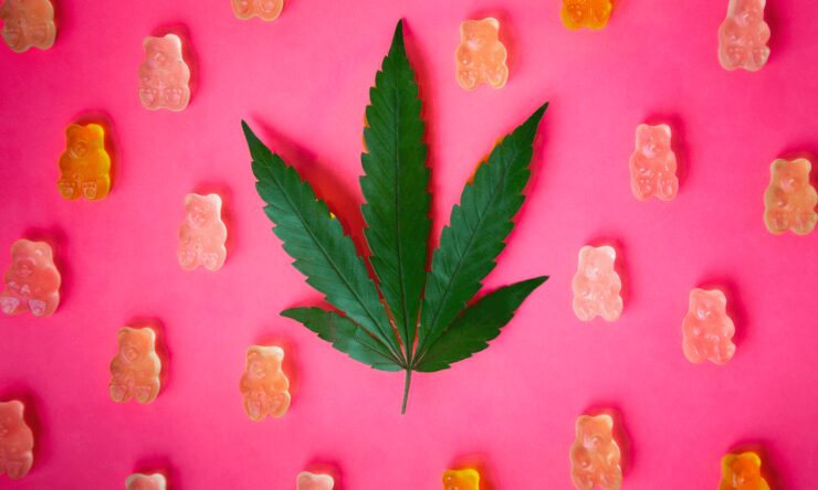 What You Need to Know Before Buying THC Gummies Online