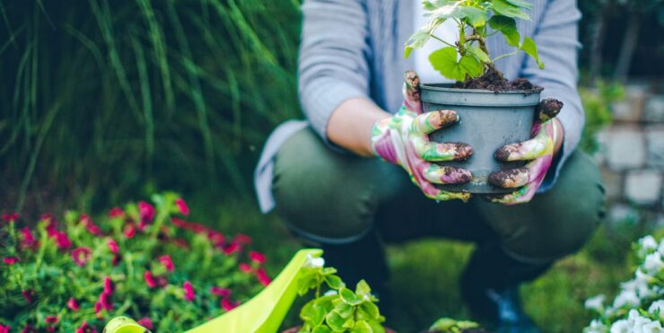 How Gardening Can Affect Your Health