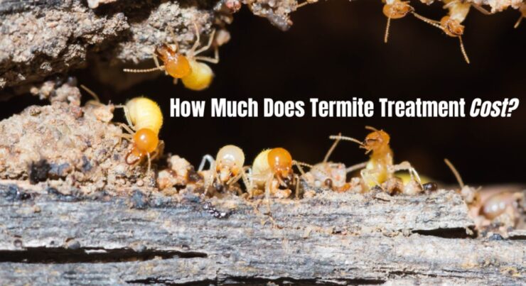 cost of termite treatments