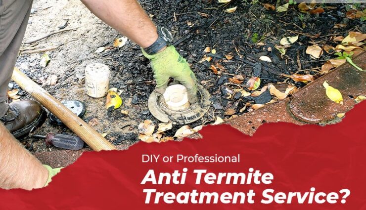 professional termite treatment over DIY methods